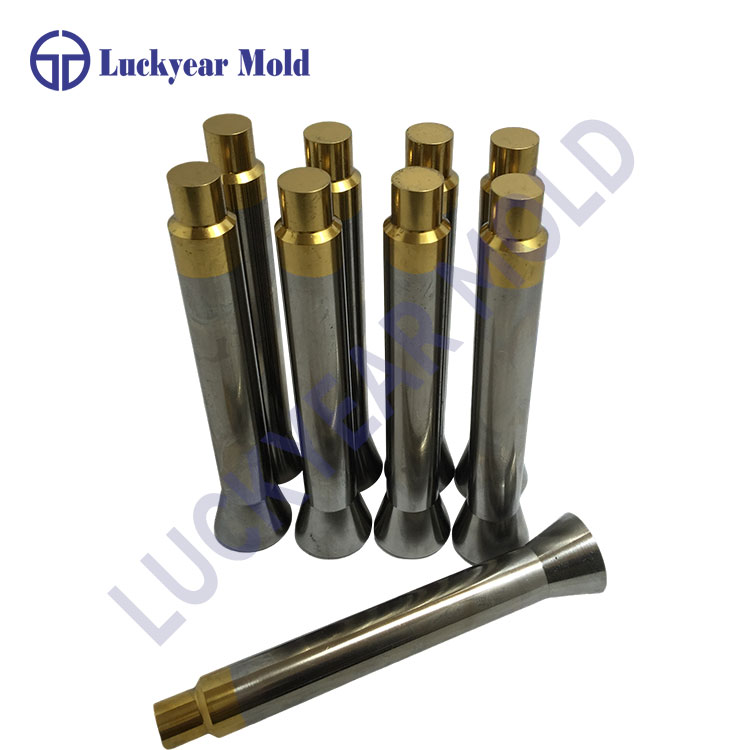 Pelėsio perforatoriaus funkcija